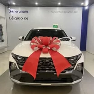 Hình ảnh hoạt động tư vấn xe tại Nam Định